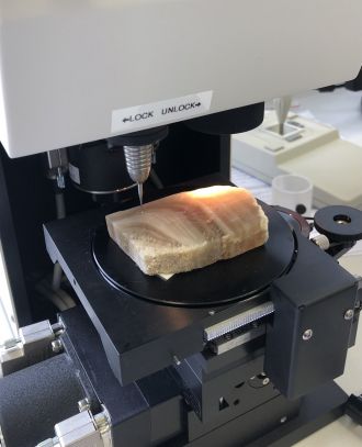 The stalagmite being sampled in the lab.