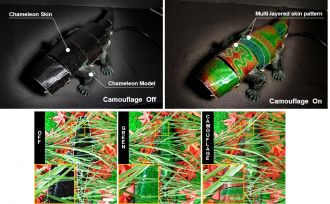 Chameleon-inspired soft robot under camouflage