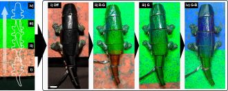 Instantaneous crypsis of the chameleon robot