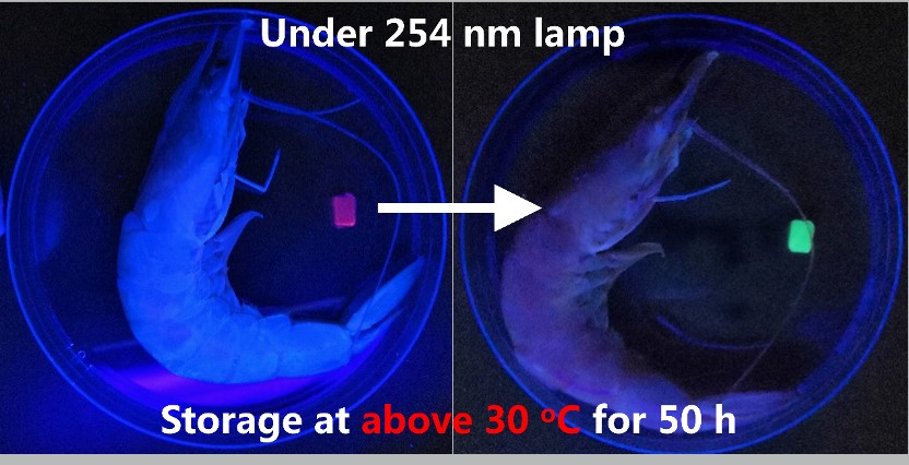 This image shows the color change of the “chameleon skin” hydrogel-based chemosensor for biogenic volatile amine vapors, which are a well known indicator of fish spoilage CREDIT Lu et al - Cell Reports Physical S