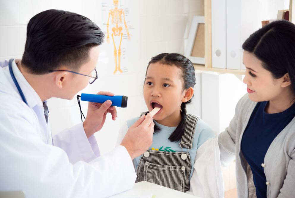 Creit: https://www.shutterstock.com/g/parinyabinsuk