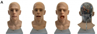 Figure 1A, showing android conditions: Close, Gape, Yawn, and back view. 