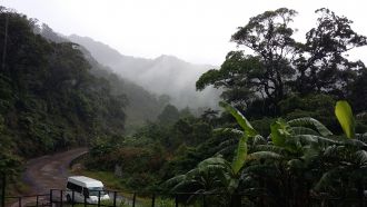 Rain on Rainforest in South East Asia