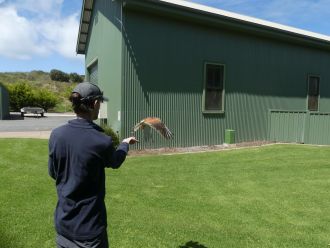 Flinders PhD Taylor Headland 