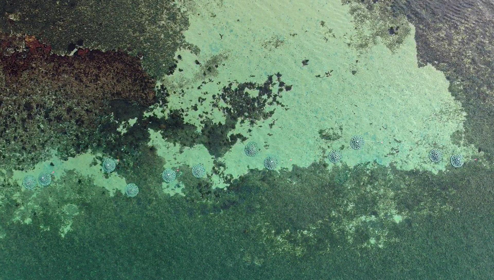 Aerial photo of the new manmade reef structures near Kingscote on Kangaroo Island. Photo D Clark (Ninti Media)