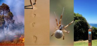 Passport to Recovery