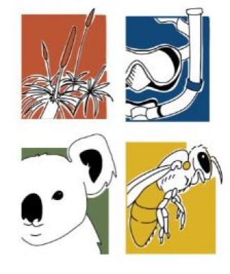 Passport to Recovery 