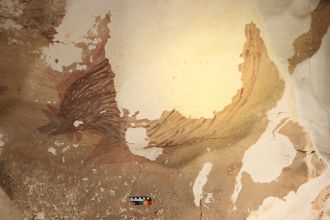 Advanced decay of recently discovered rock art at Leang Tedongnge