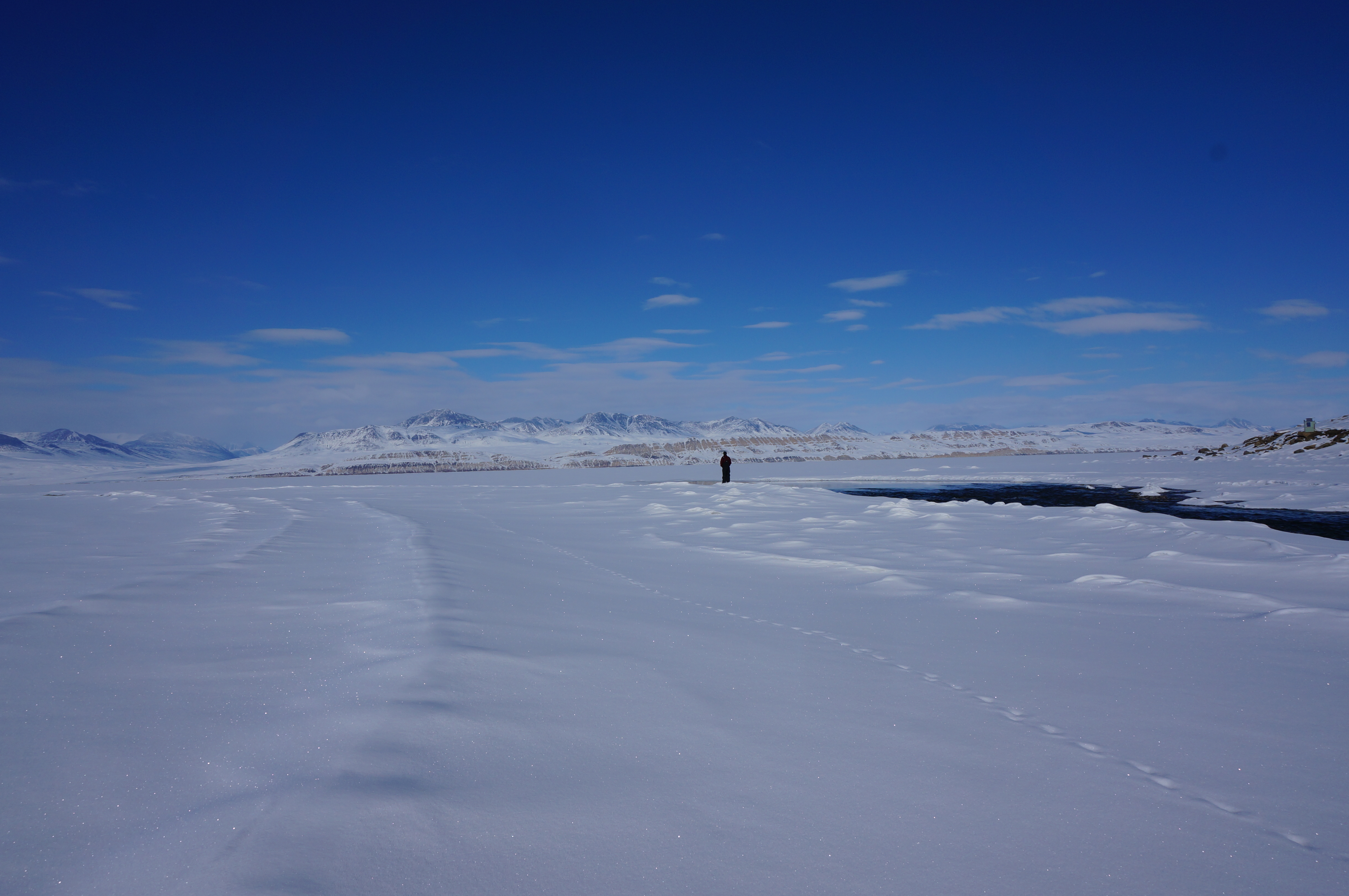 A lone researcher looking at the mountains on the northern shore of Lake Hazen. Credit information: Graham Colby