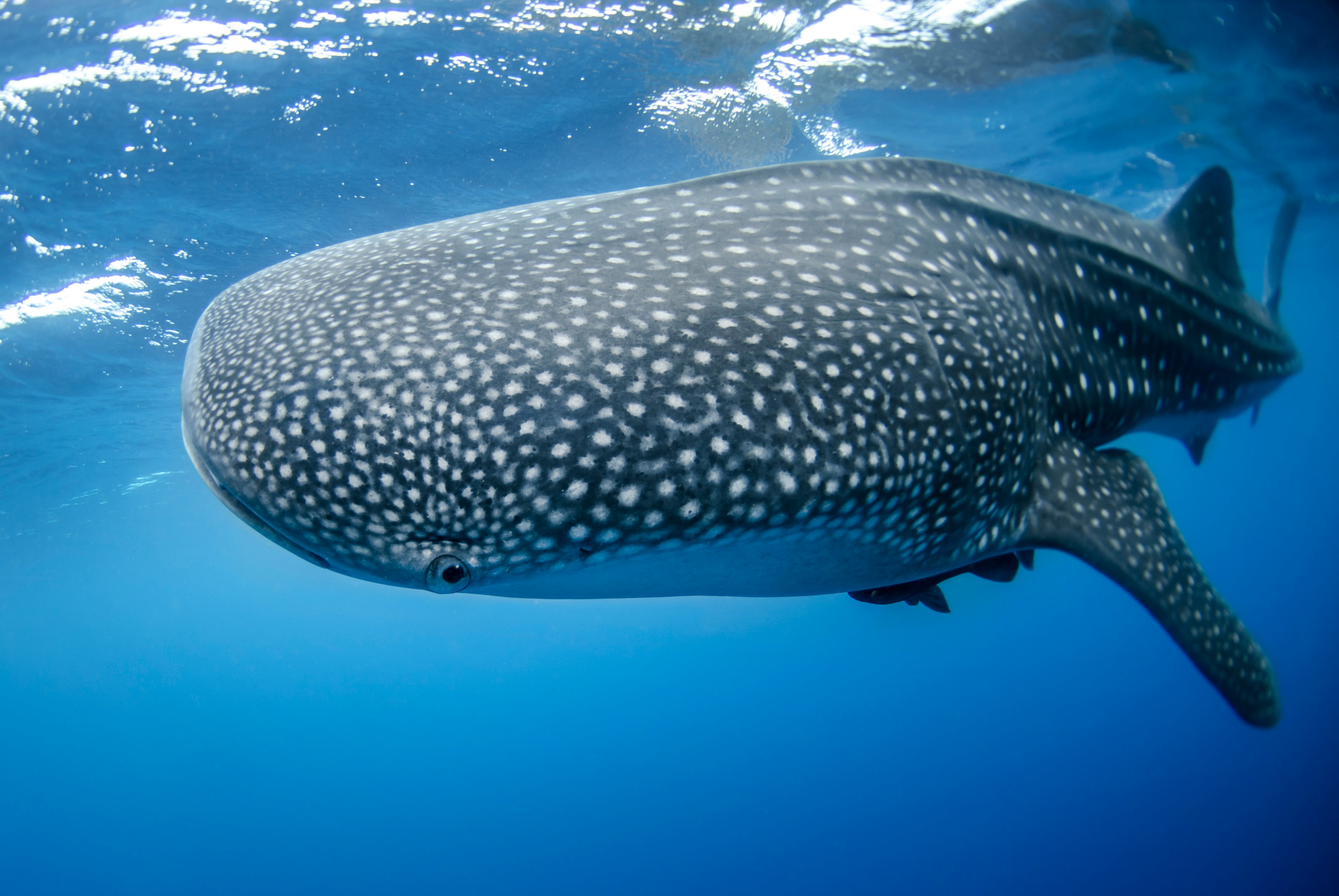 Photo by NOAA on Unsplash