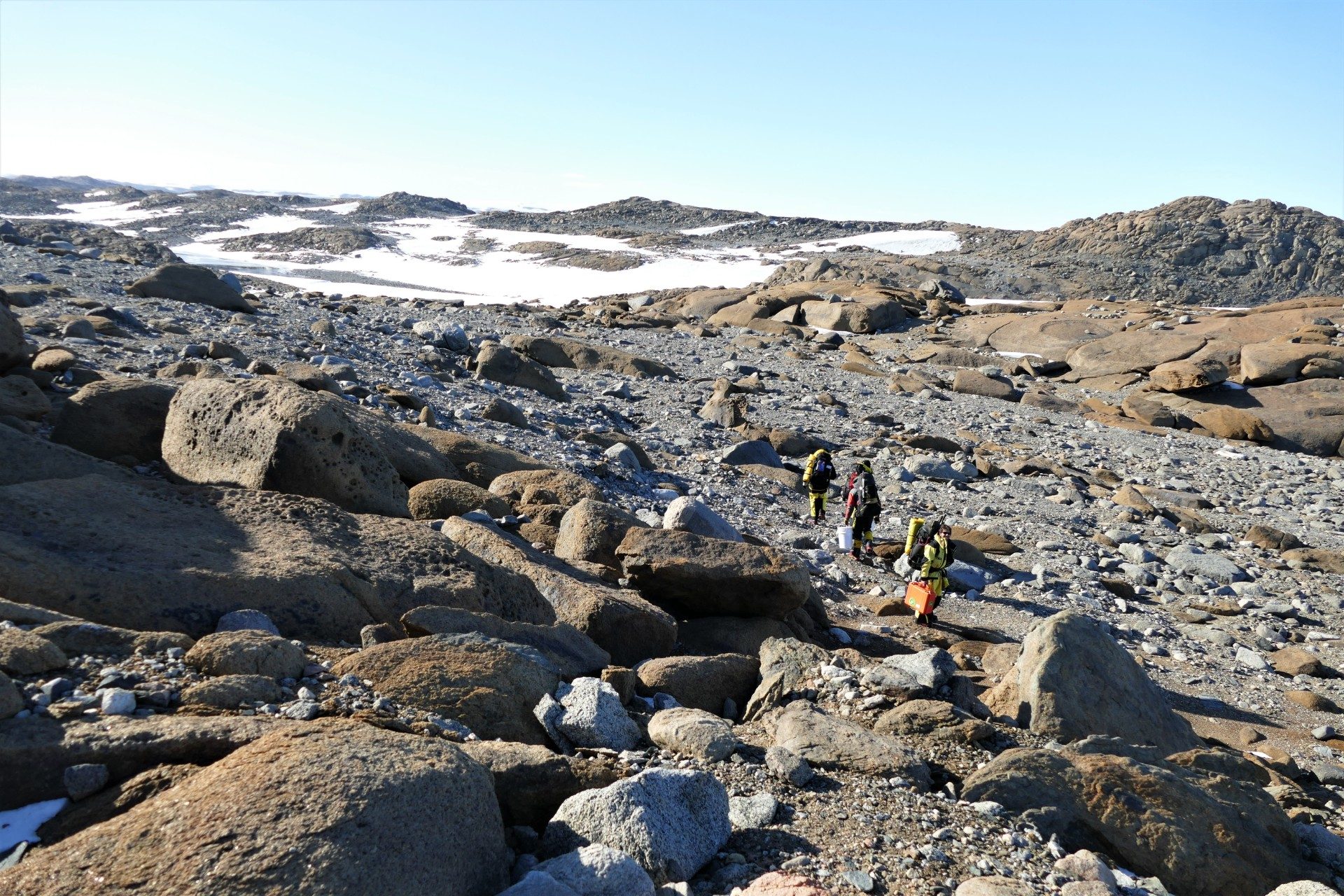 Professor Belinda Ferrari and team walking to Browning Peninsula. Photo: UNSW Sydney/Belinda Ferrari