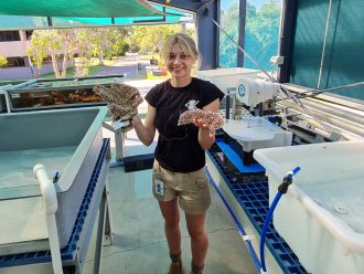  Isabella Marrable prepares coral colonies. Image: Juan Ortiz