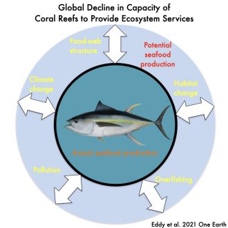 How coral reefs ecosystem services have declined