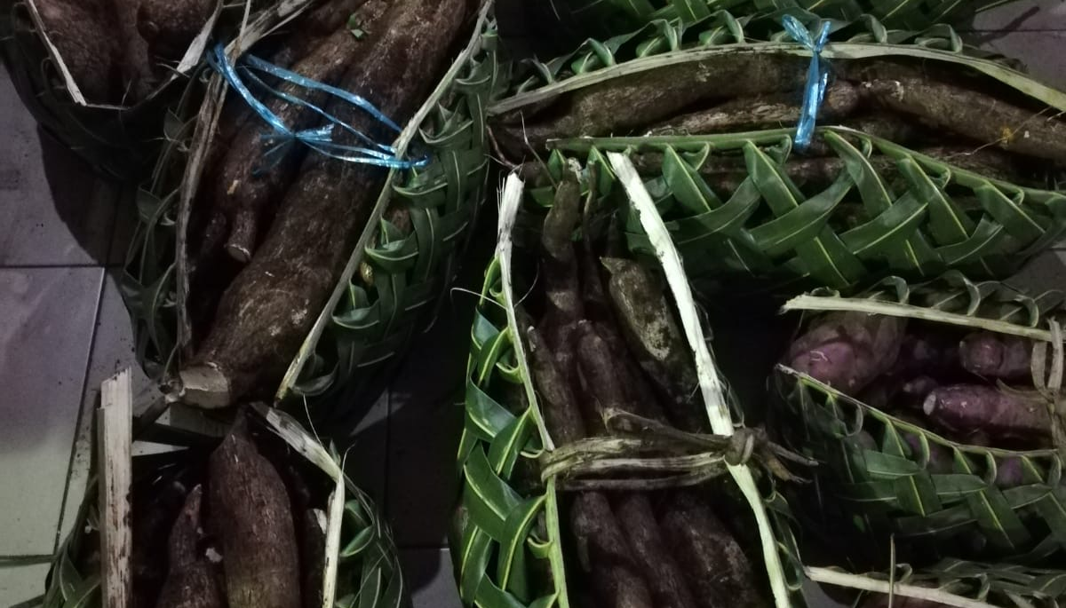 Image Credit: Dr Ross Westoby, Griffith University