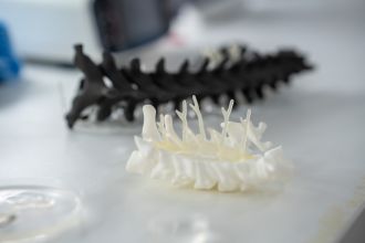 3D models of the spine