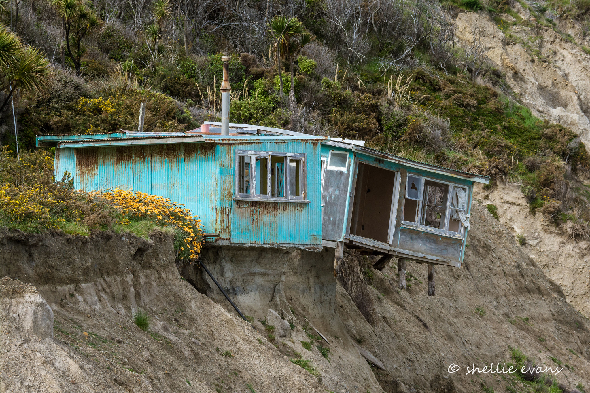 Flickr - Shellie Evans