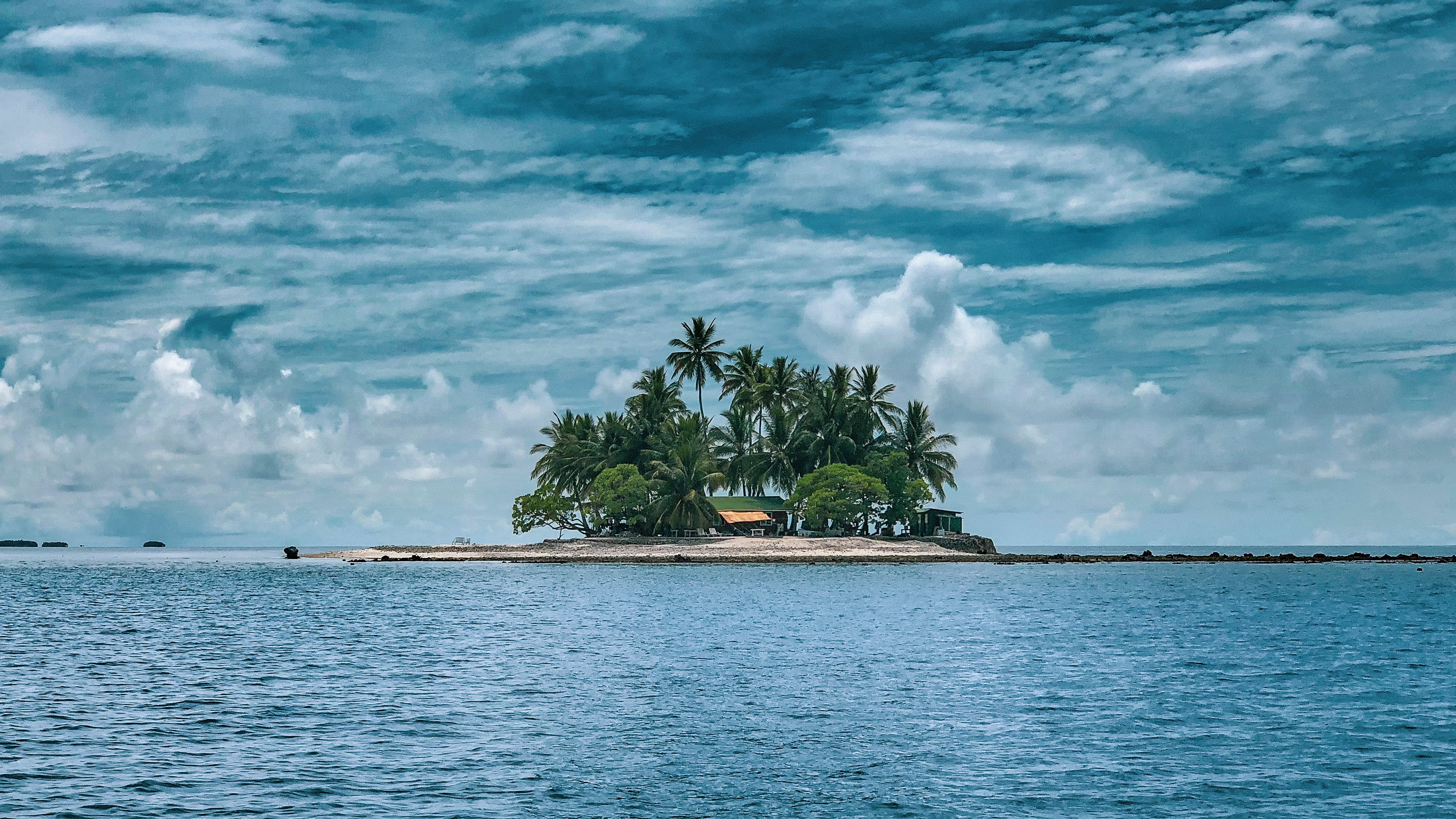 Credit: Marek Okon/Unsplash Credit: Marek Okon/Unsplash