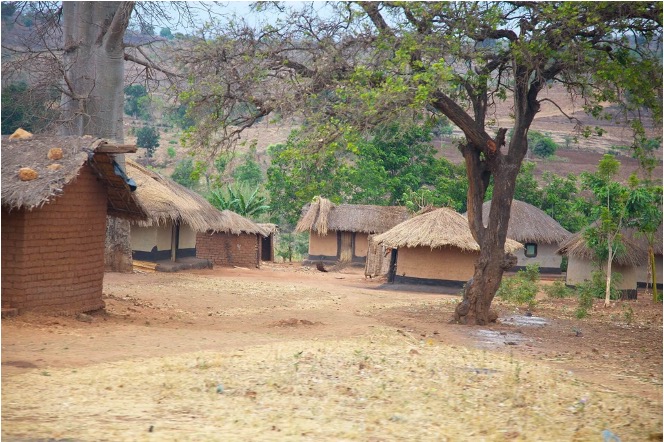 A village in Malawi. Credit: Professor Michael John Griffiths