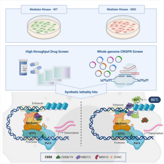 GFX Bowel cancer combination therapy