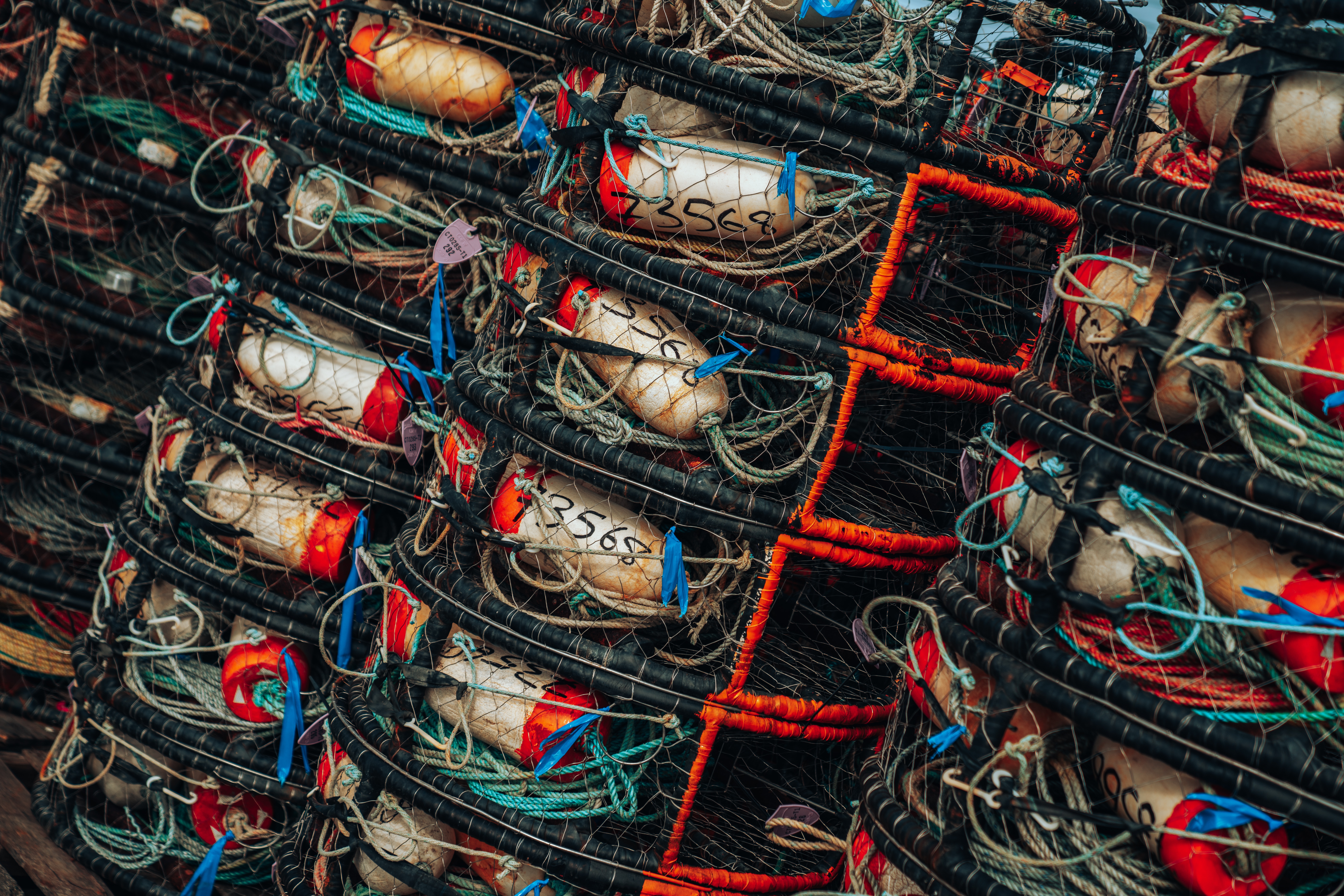 Image by Meritt Thomas on UnSplash