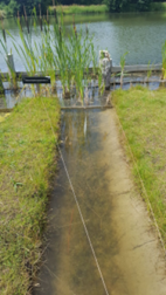 Control (‘clean’) experimental ditch not exposed to thiacloprid