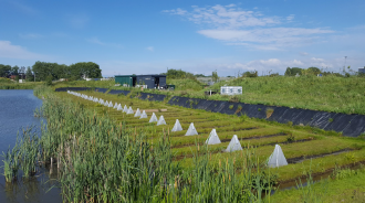 Overview of the experimental ditch system.