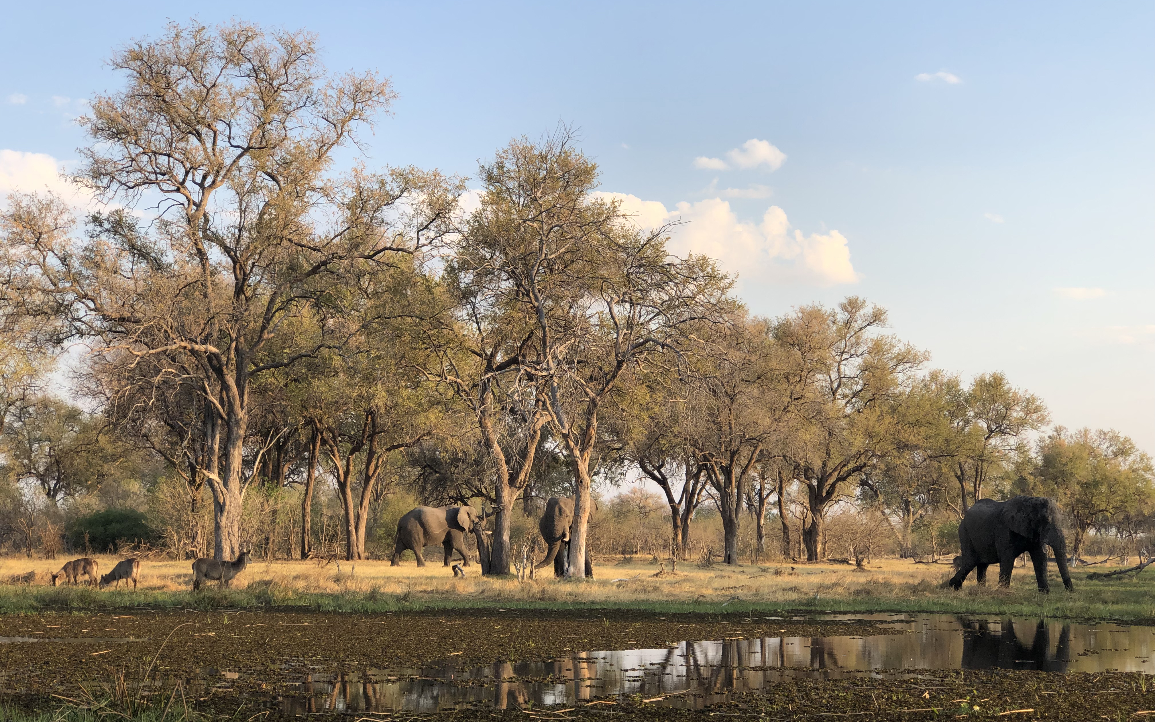 Credit: Prof. Martine Maron