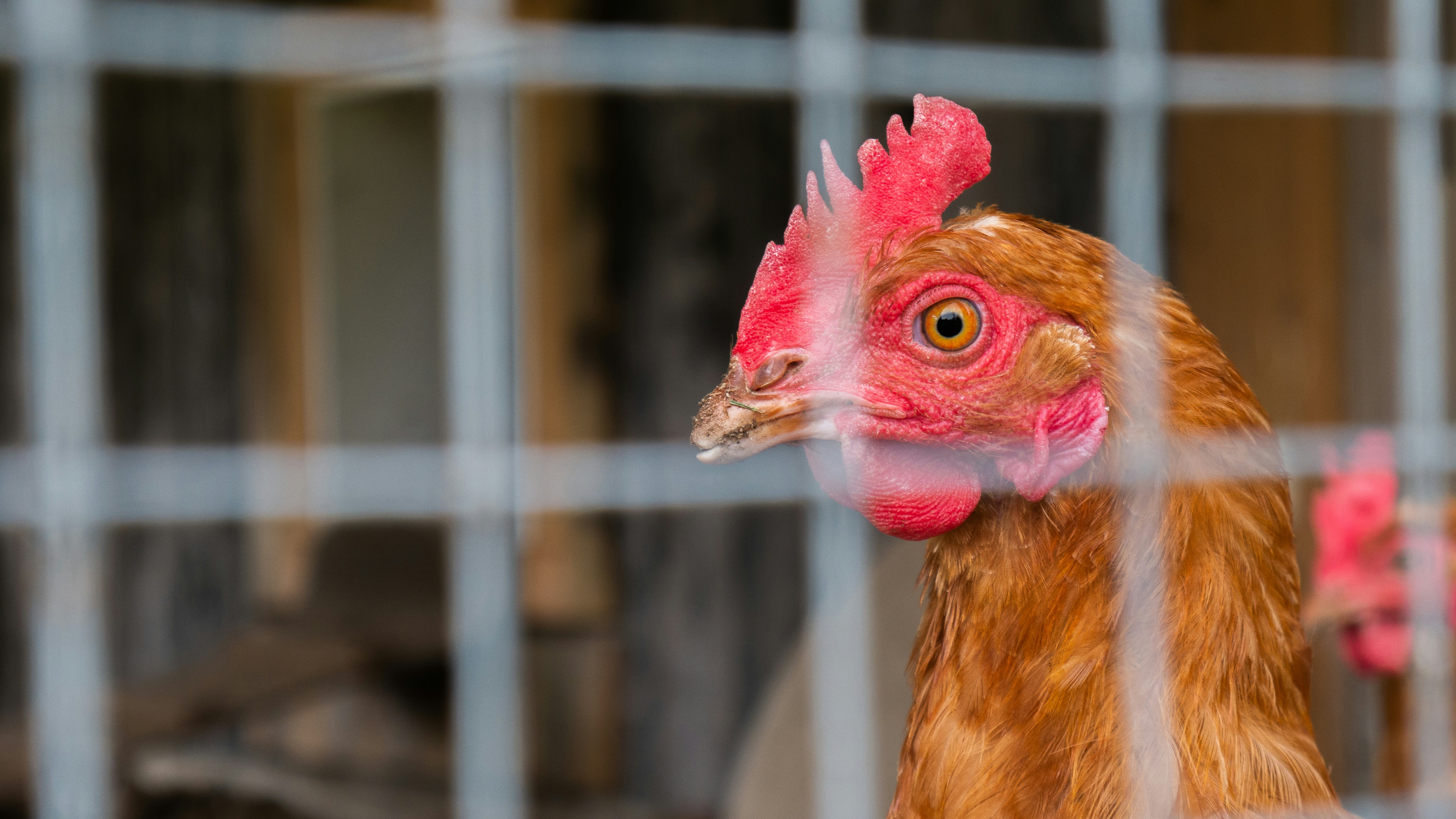 Photo by Brittany Clark on Unsplash