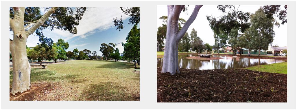 A rain garden soaks up stormwater runoff in a local reserve in southern Adelaide. Courtesy City of Mitcham 