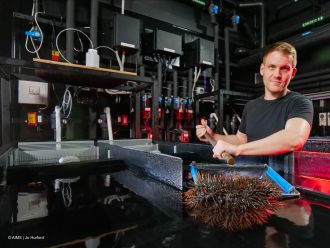 Flume system for crown-of-thorns starfish behaviour experiment
