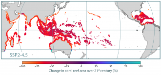 Change in coral reef area over 21st centuary