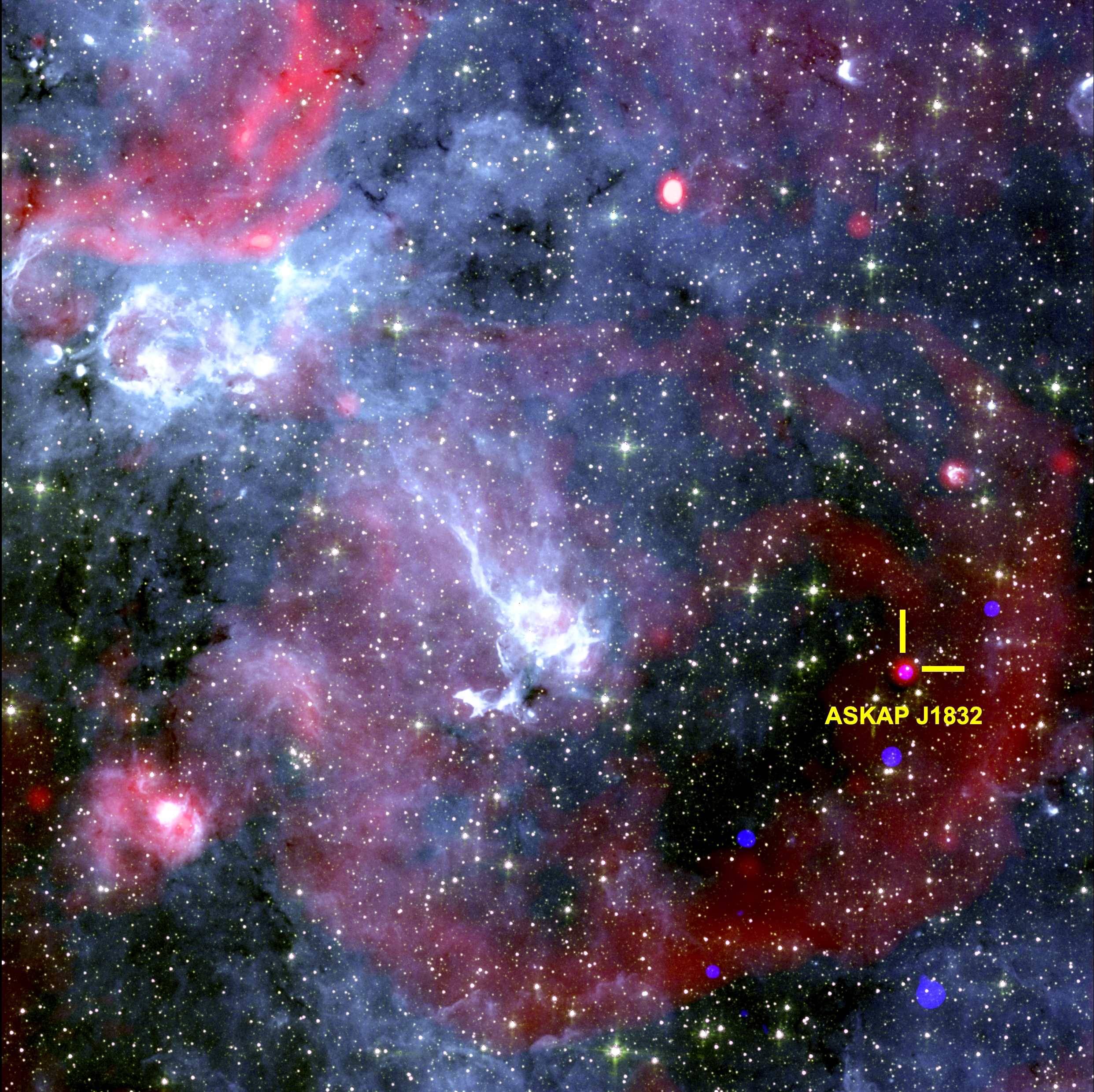 Description: An image of the sky showing the region around ASKAP J1832-0911. X-rays from NASA’s Chandra X-ray Observatory, radio data from the South African MeerKAT radio telescope, and infrared data from NASA’s Spitzer Space Telescope  Credit: Ziteng (Andy) Wang, ICRAR.