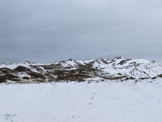 Thousands of Adelie penguins 