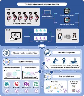 Infographic