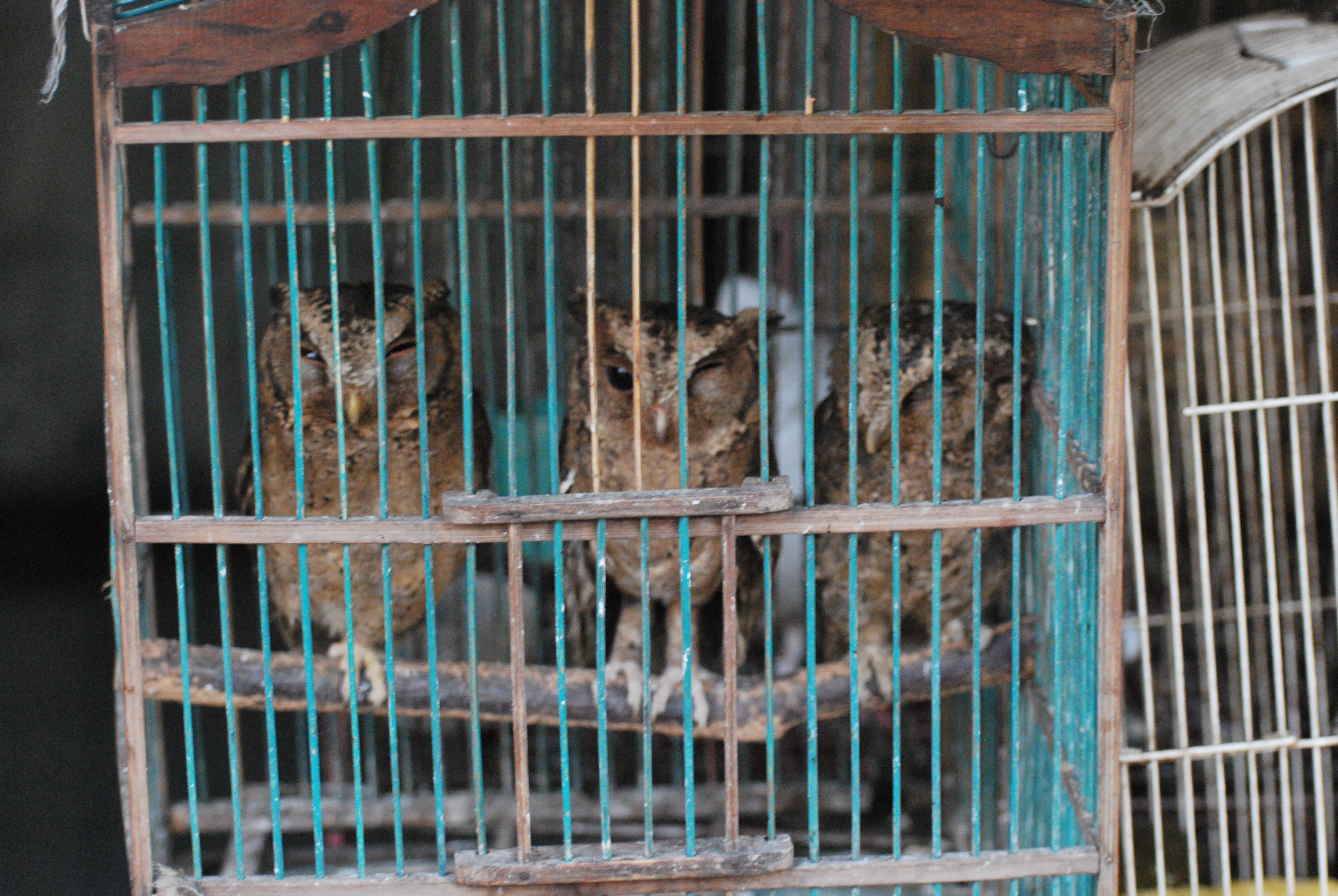 By Krotz - Own work, CC BY-SA 3.0, https://commons.wikimedia.org/w/index.php?curid=16769528