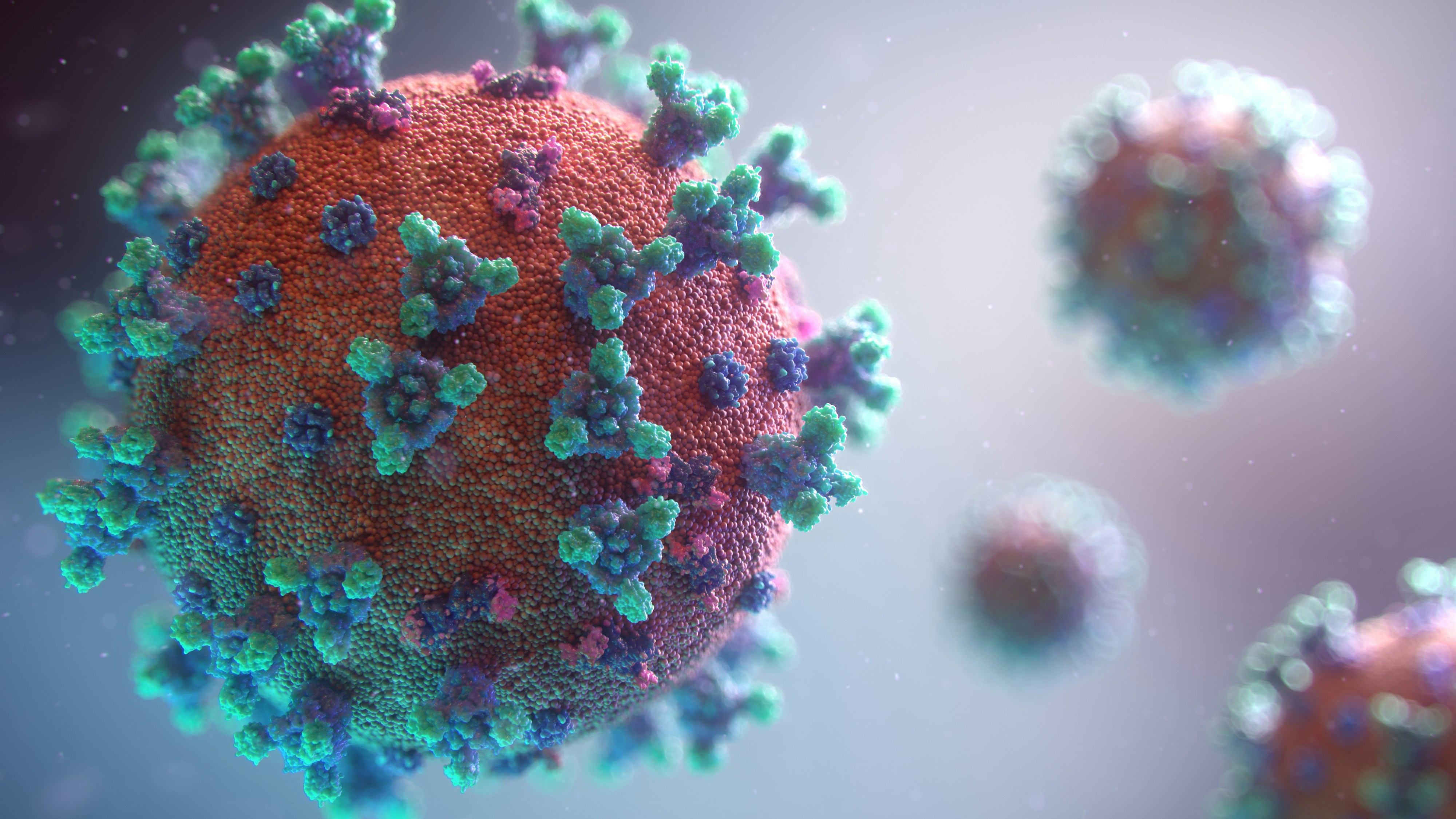 CC-0. https://unsplash.com/photos/visualization-of-the-coronavirus-causing-covid-19-rnr8D3FNUNY