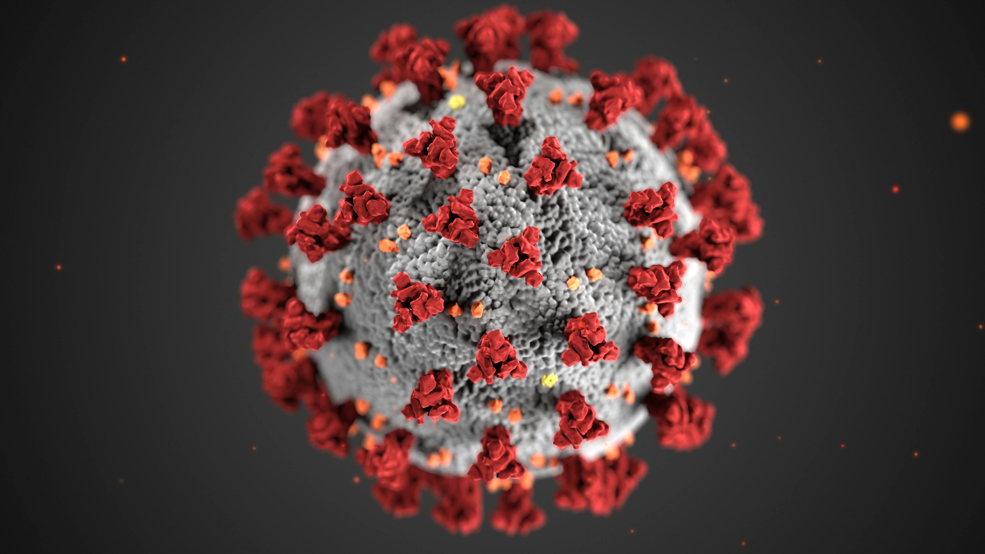 CC-0. https://www.pexels.com/photo/structure-of-a-coronavirus-3993212/