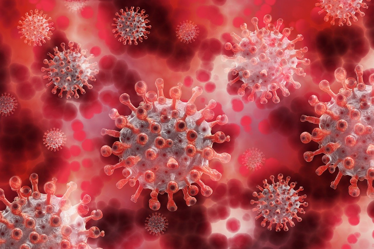 CC-0. https://pixabay.com/illustrations/coronavirus-virus-blood-plasma-5174671/