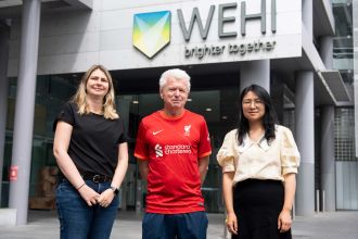 WEHI Researchers 