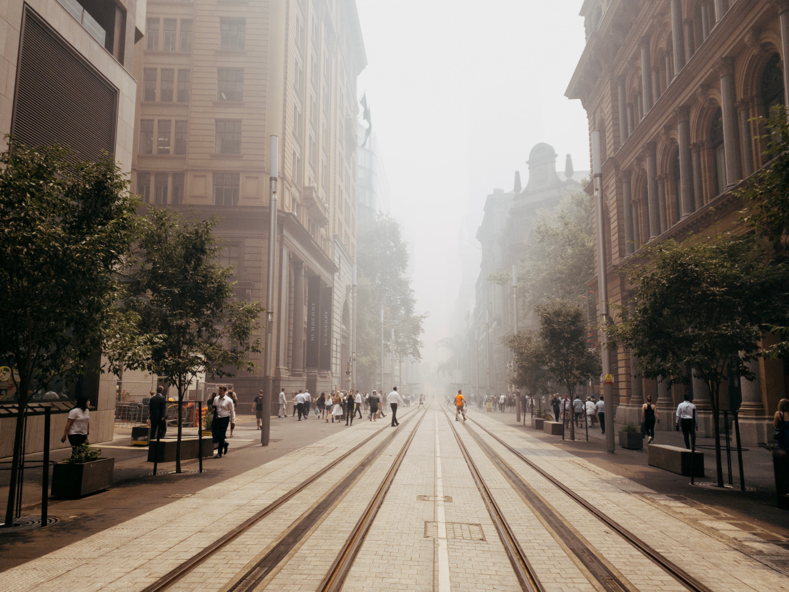 Researchers have shown that portable air cleaners, otherwise known as air purifiers, fitted with high-efficiency particulate air (HEPA) filters substantially improve air quality during prescribed burn events.  Image credit: VirtualWolf/Flickr  https://flickr.com/photos/7281432@N05/49197319478