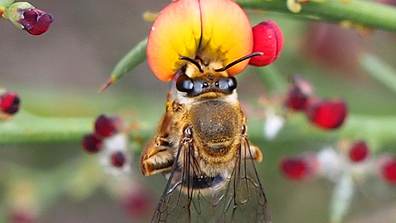 Picture: Kit Prendergast