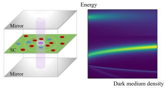 2D semiconductor between two mirrors