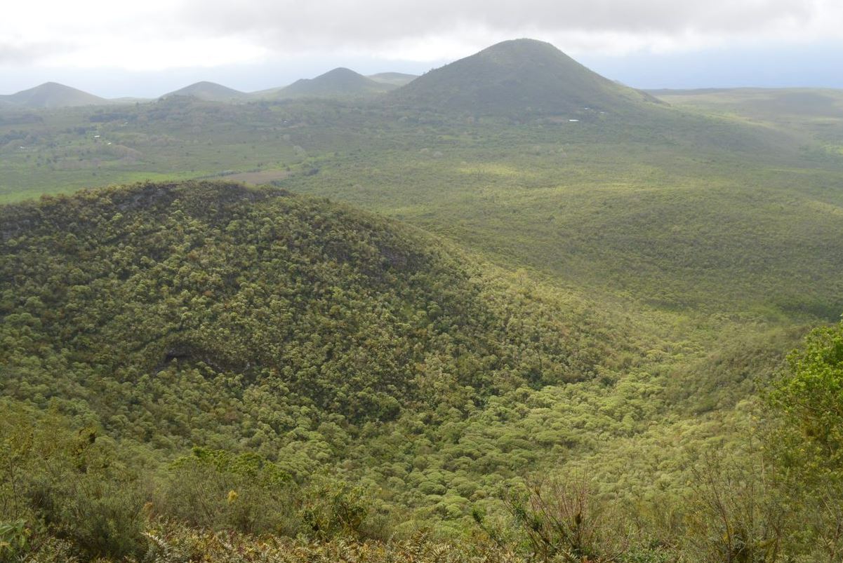 Dr Andrew Katsis (Flinders University) 