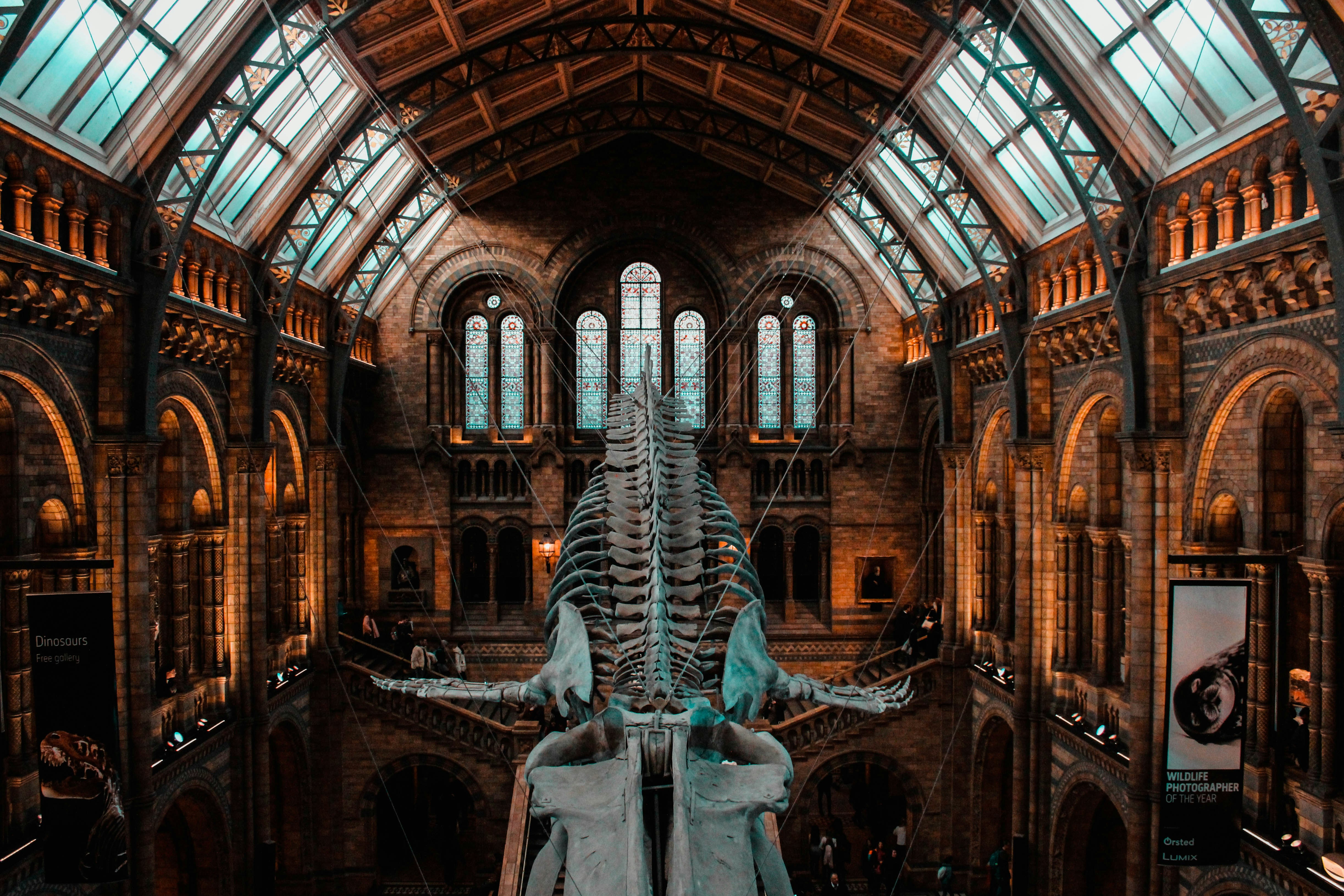 Photo by Joana Godinho on Unsplash