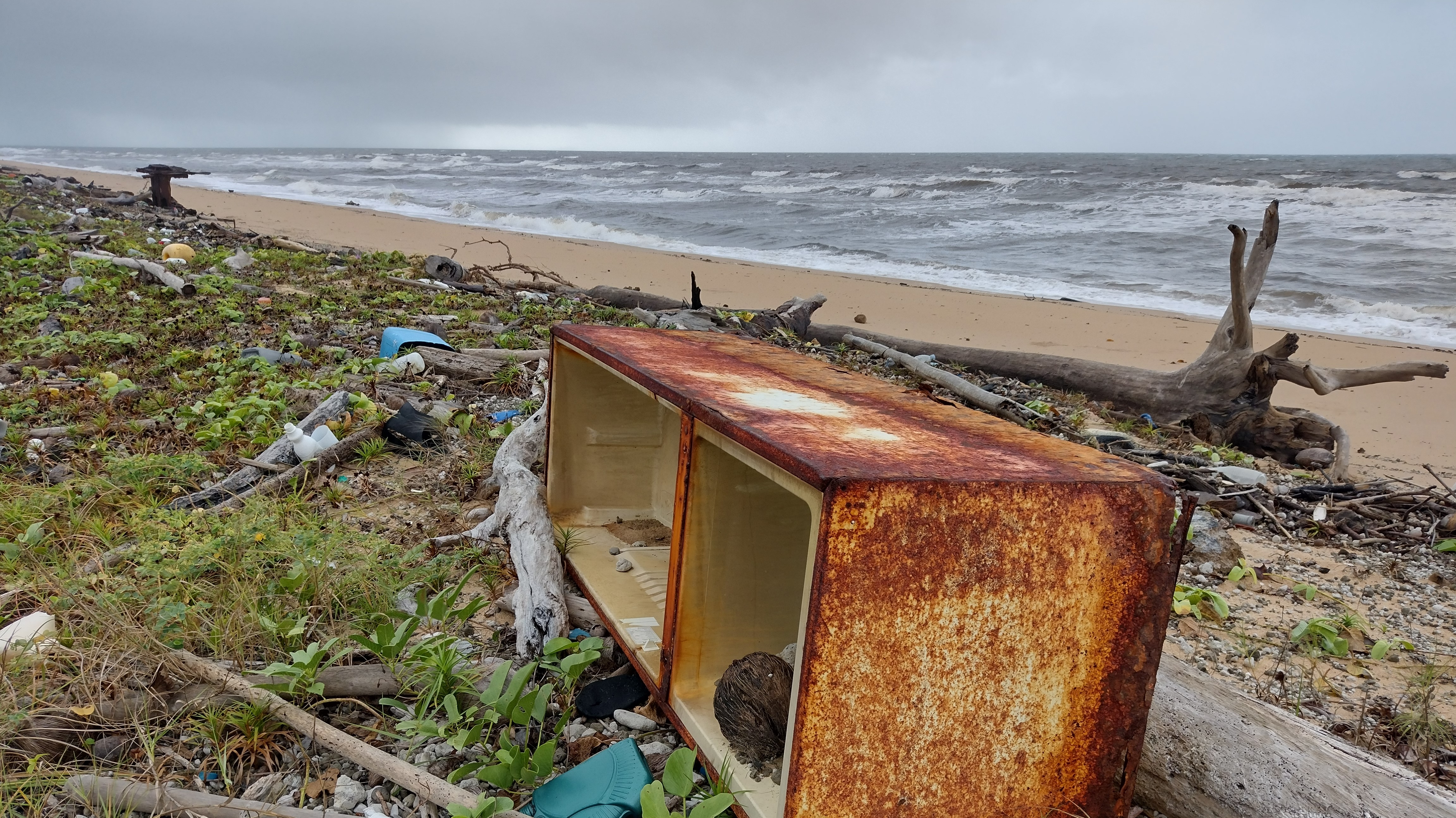 Tangaroa Blue Foundation 