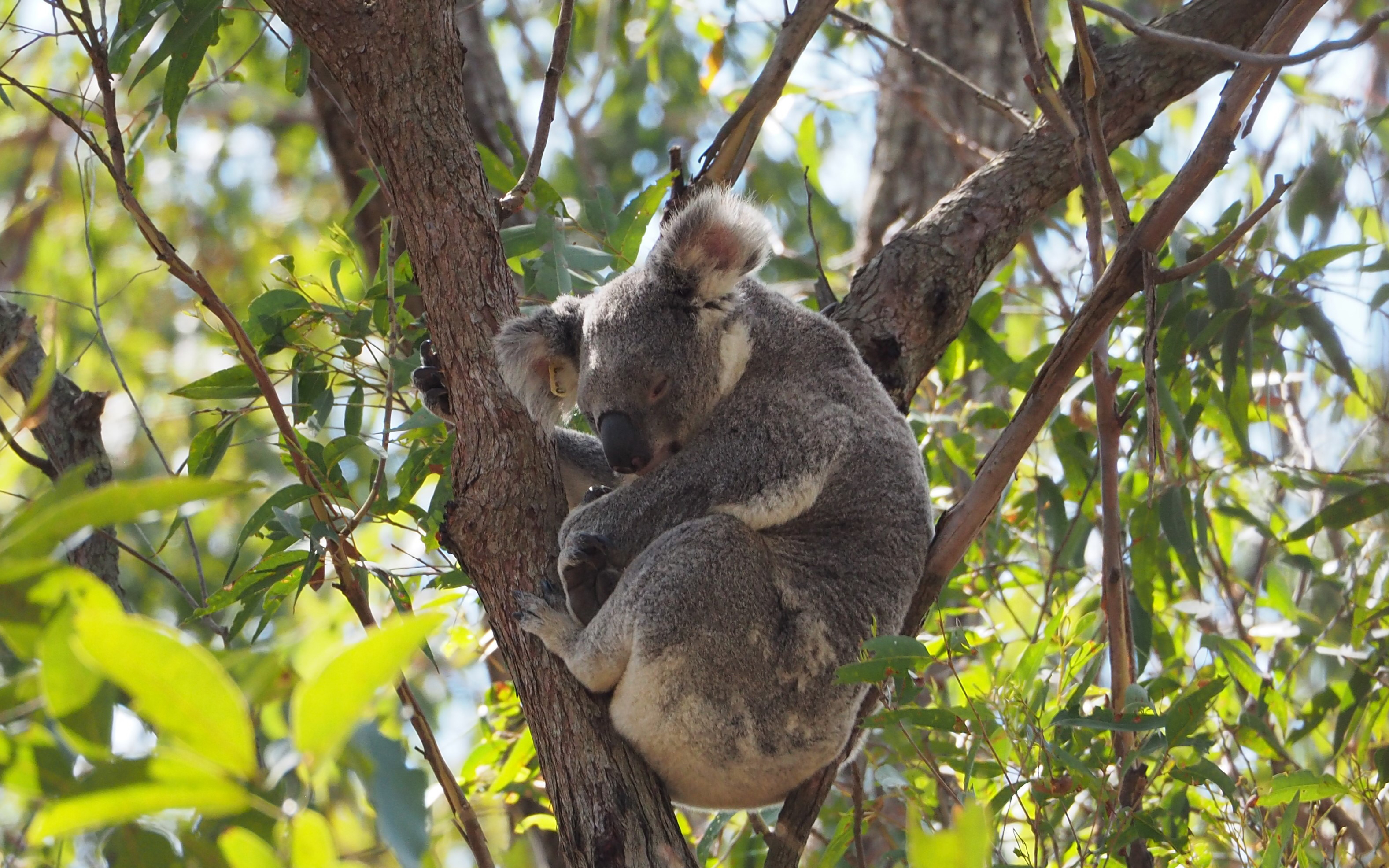 Credit: Courtney Morgans