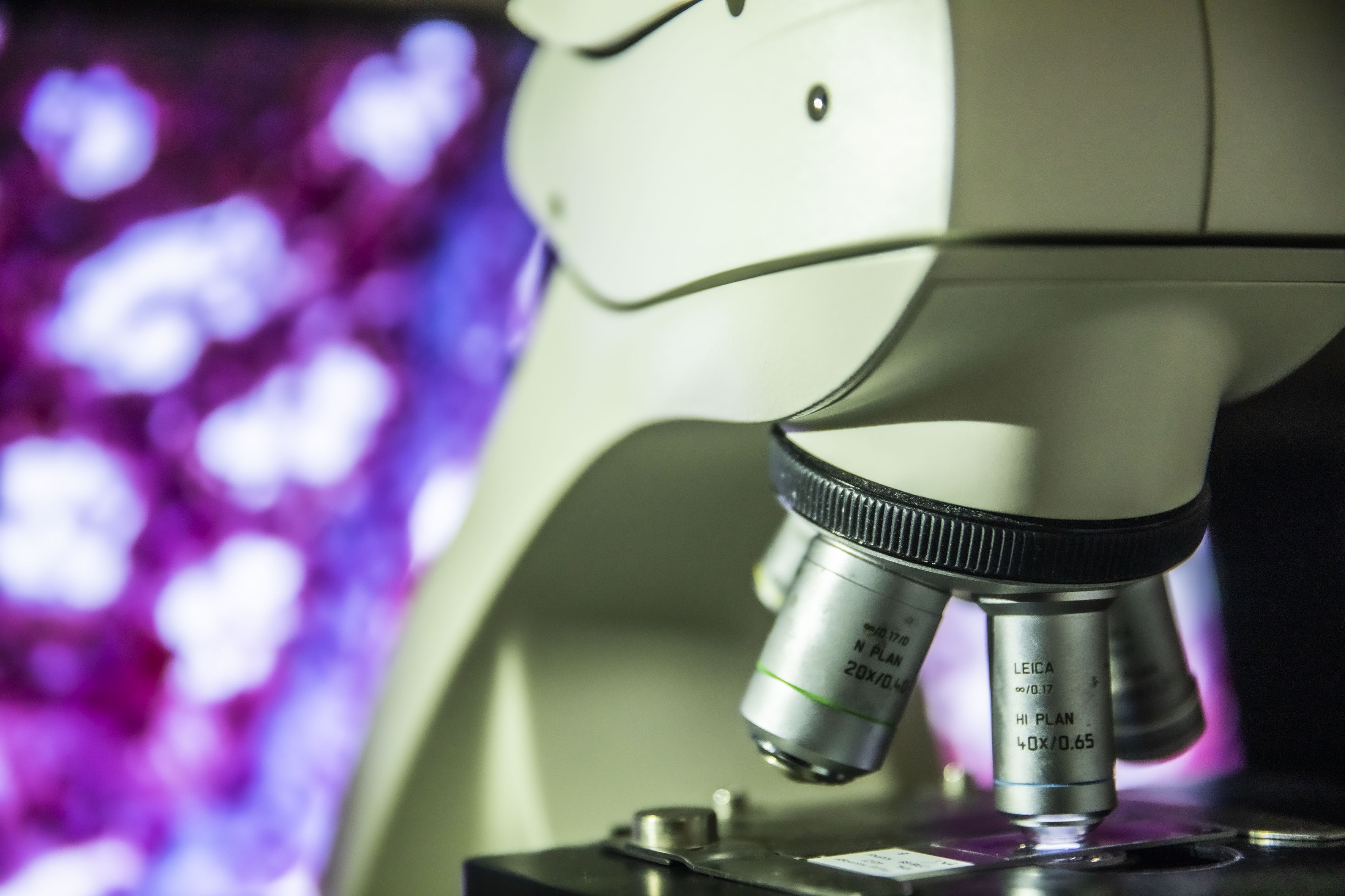 Supplied by The Florey