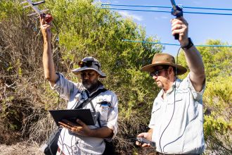 Dingo Bingo | Tracking