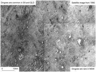 Satellite image above Strzelecki Desert