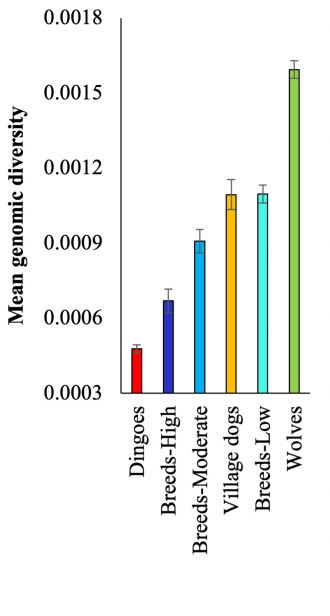 Mean genomic diversity 